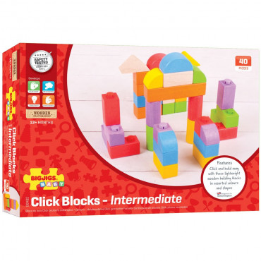 Click Blocks Coloured 100pce