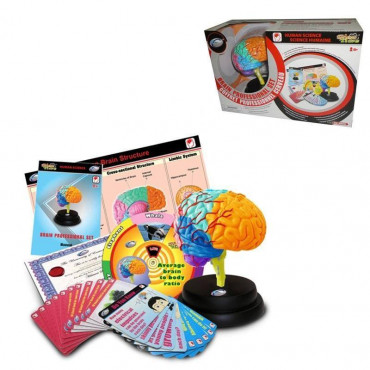 BRAIN PROFESSIONAL SET