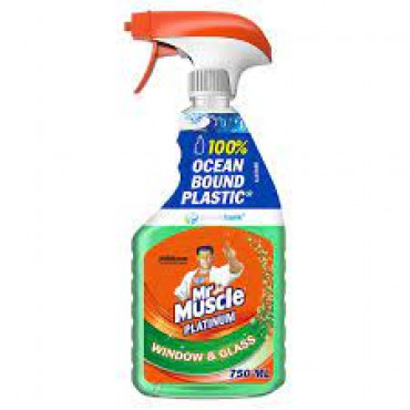 Mr Muscle glass cleaner 750 mls