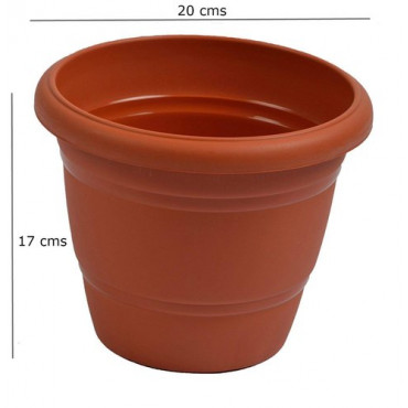 20Cm Pot 8 In Terracotta