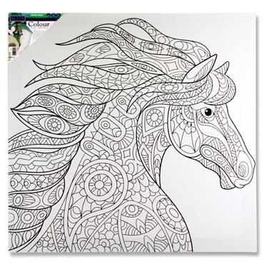 Icon 500X500Mm Colour My Canvas  Horse