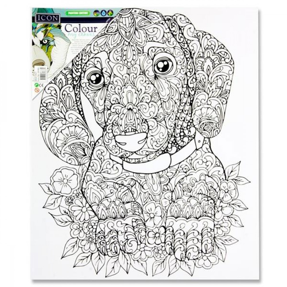Icon 300X250Mm Colour My Canvas Doggy