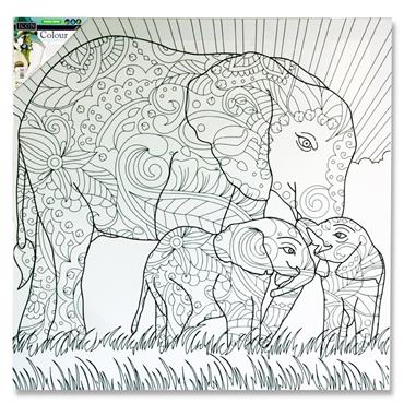 Icon 500X500Mm Colour My Canvas  Elephant