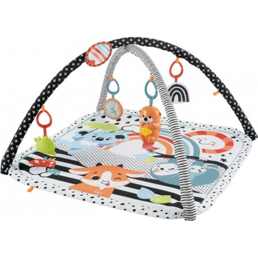 FP 3-in-1 Glow and Grow Gym