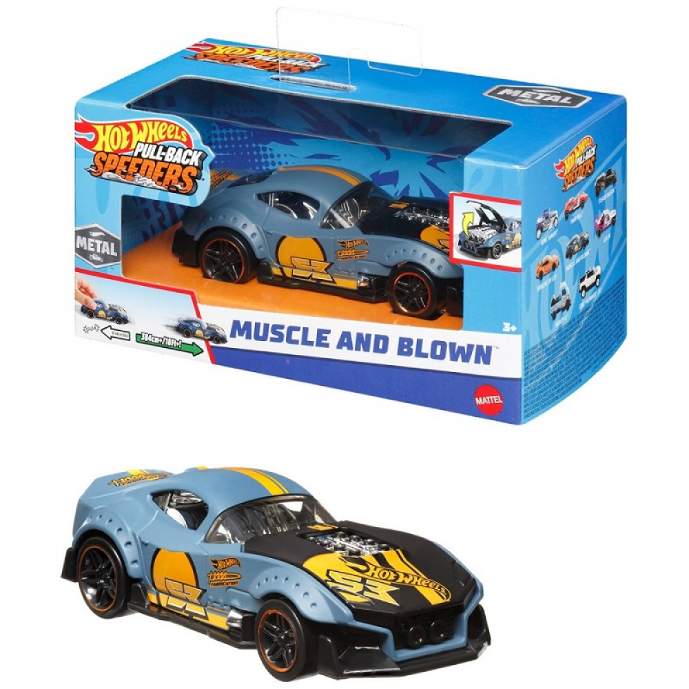 HOT WHEELS PULL BACK SPEEDERS ASSORTED