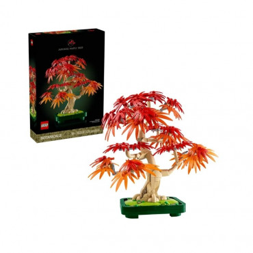 Botanicals Japanese Red Maple Bonsai Tree