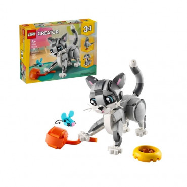 Playful Cat