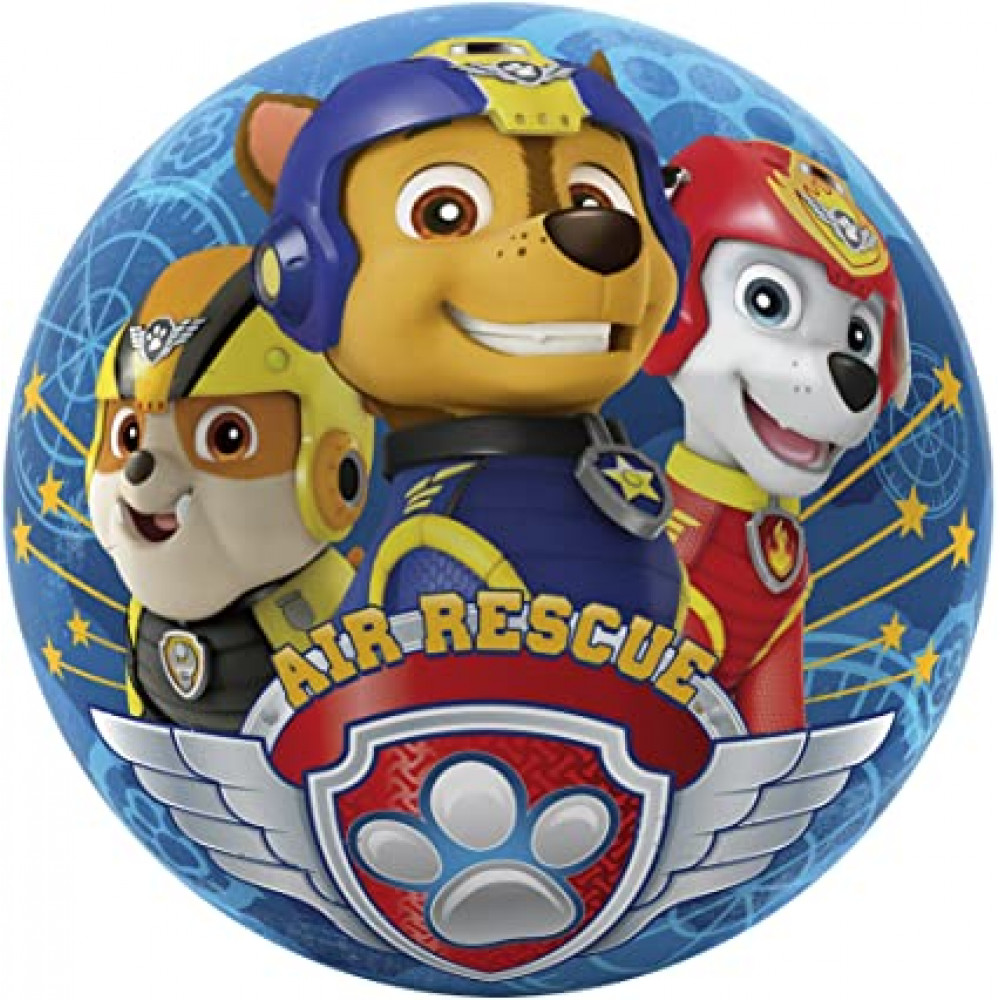 Paw patrol ball cheap