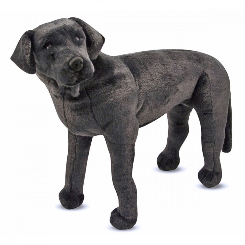 BLACK LAB