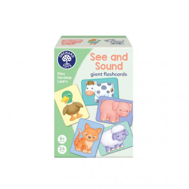 SEE AND SOUND FLASHCARDS