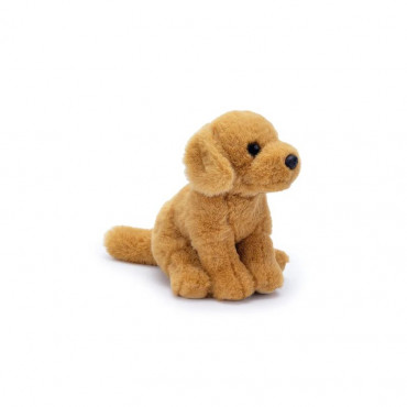 Bailey The Golden Retriever