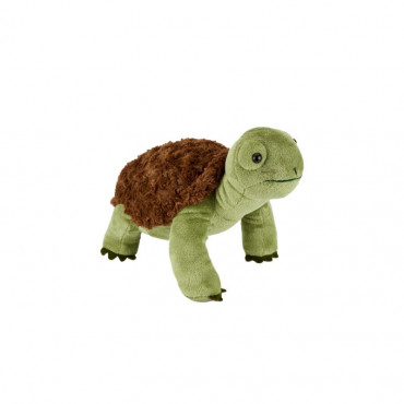 Jenny The Tortoise