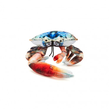 Flynn The Fiddler Crab