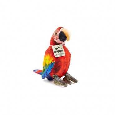 Peter The Parrot