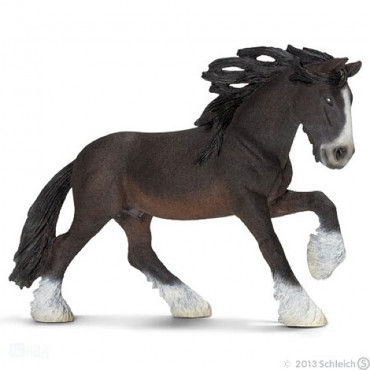 Shire Stallion