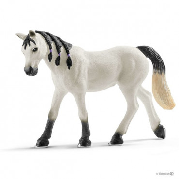 Arabian Mare