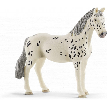 Knabstrupper Mare