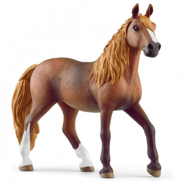 Paso Peruano Mare