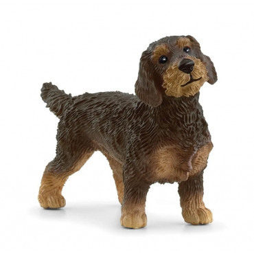 WIRE-HAIRED DASHUND