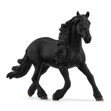 FRIESIAN STALLION