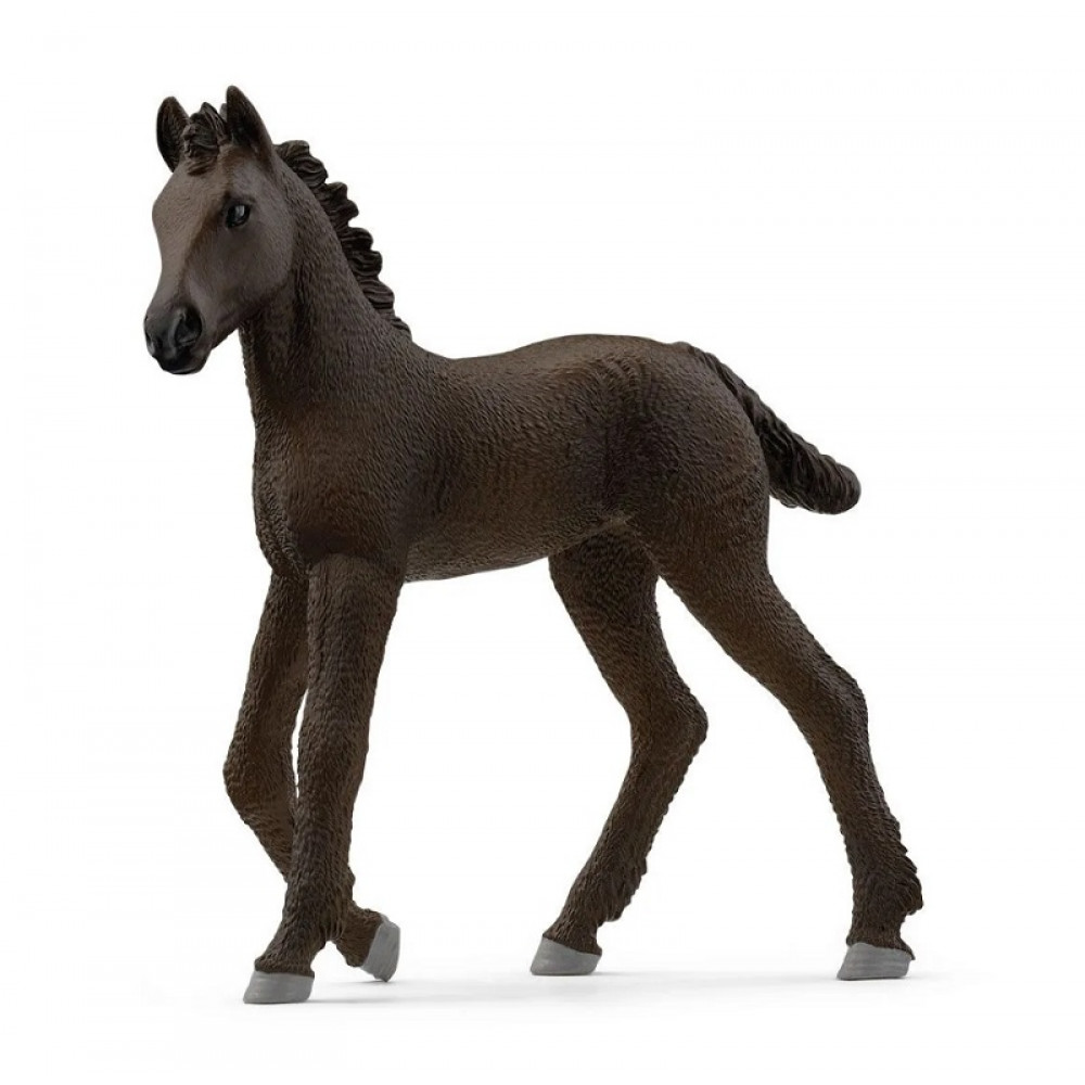 FRIESIAN FOAL