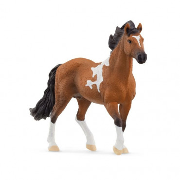 Mangalarga Marchador Stallion