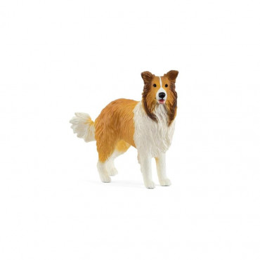 Collie?