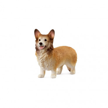 Welsh Corgi