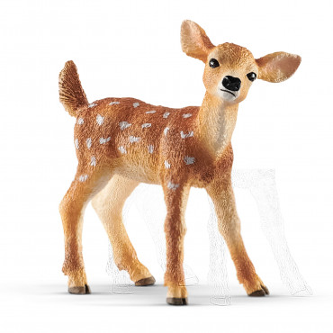 White Tailed Doe