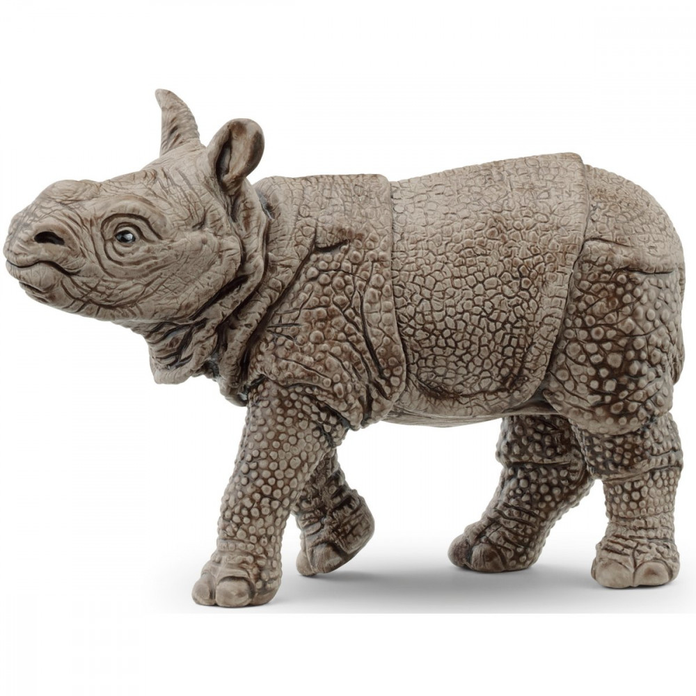 Indian Rhinoceros Baby