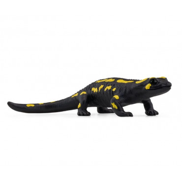 FIRE SALAMANDER