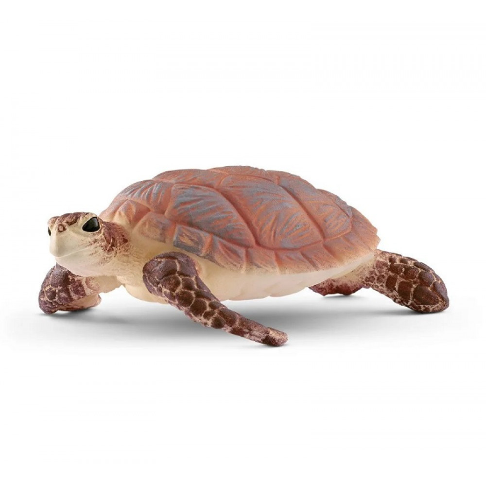 HAWSKBILL SEA TURTLE