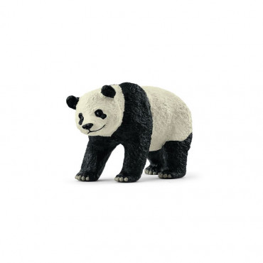 Giant Panda