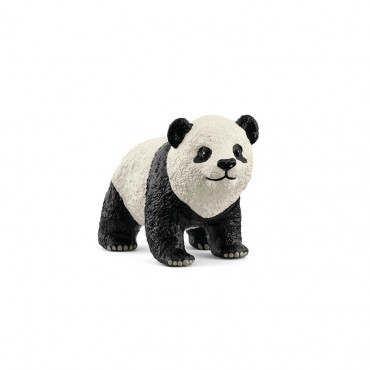 Giant Panda Cub