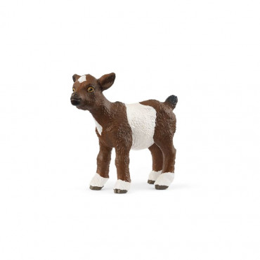 Goat Kit