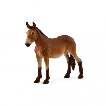 Mule