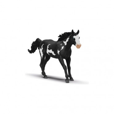 Paint Horse Gelding