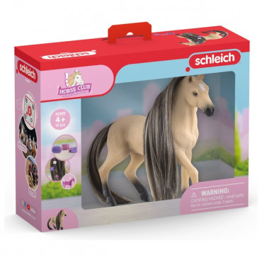 Beauty Horse Andalusian Mare
