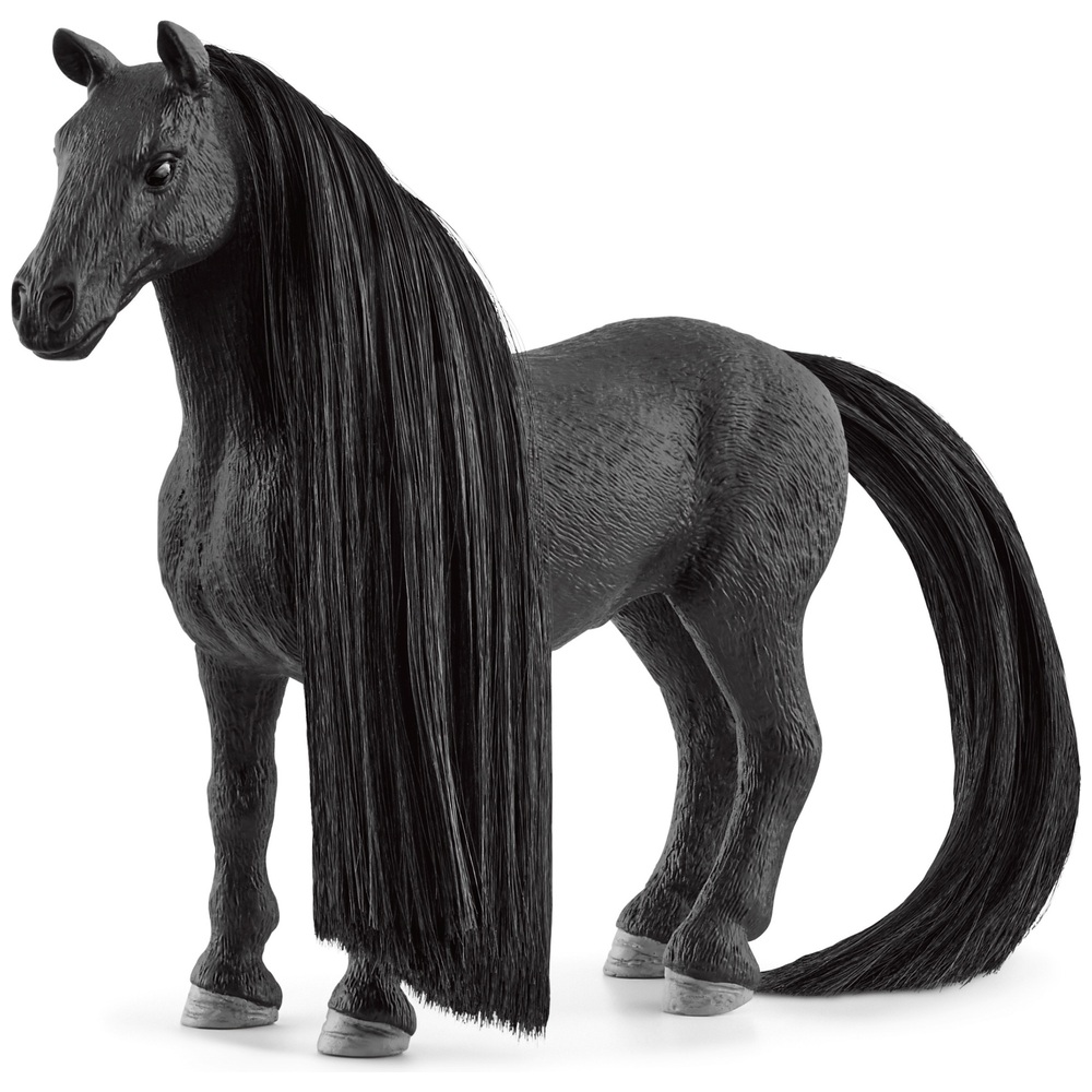 Beauty Horse Criollo Definitivo Mare