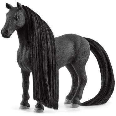 Beauty Horse Criollo Definitivo Mare