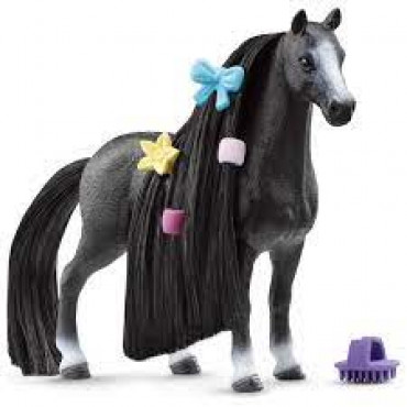 Beauty Horse Quarter Horse Mare