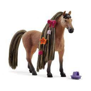 Beauty Horse Achal Tekkiner Stallion