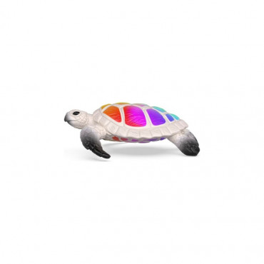 Hawksbill Sea Turtle
