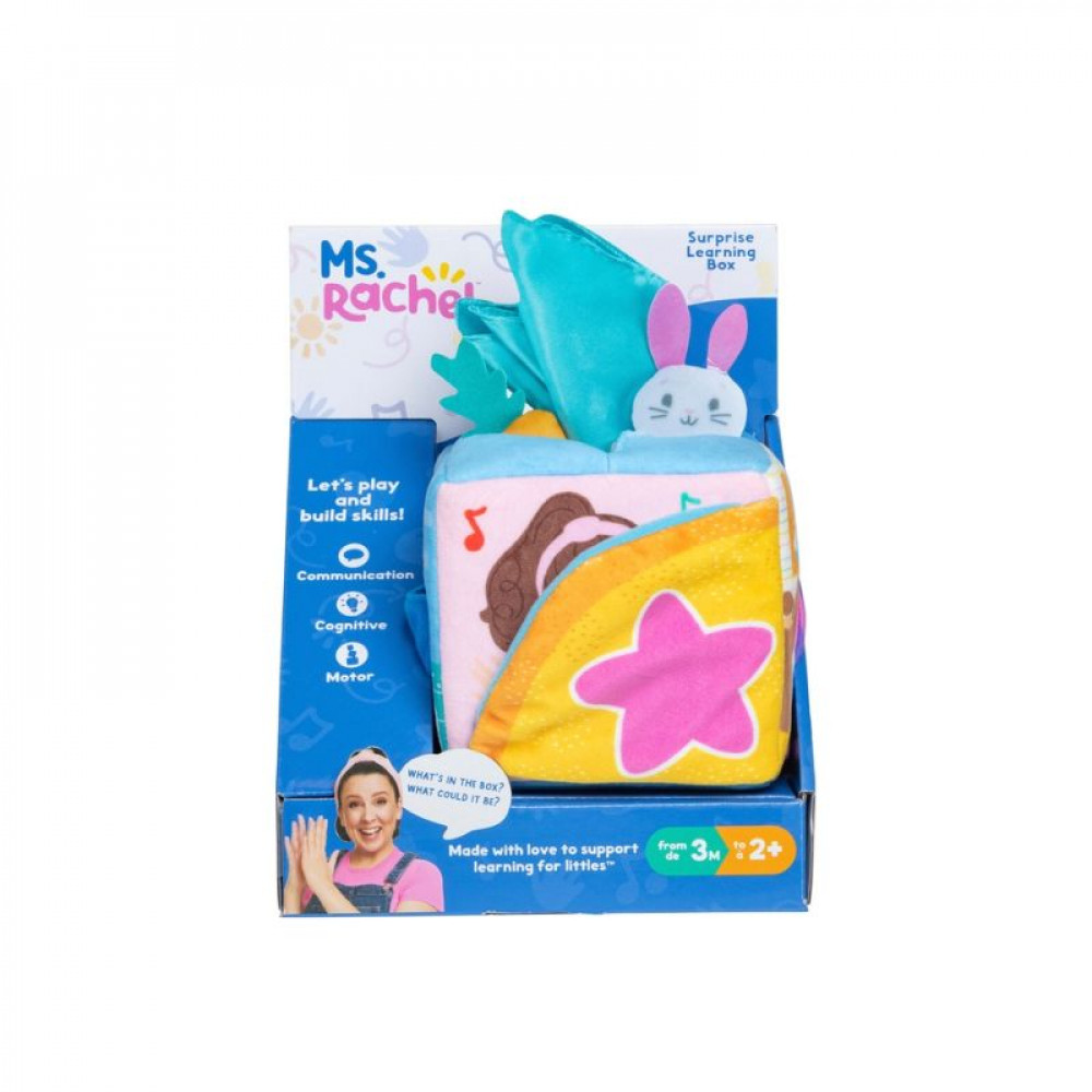 Ms Rachel Suprise Learning Box