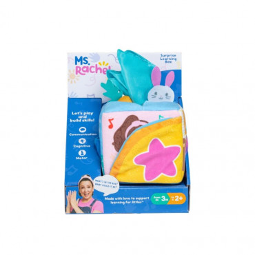 Ms Rachel Suprise Learning Box