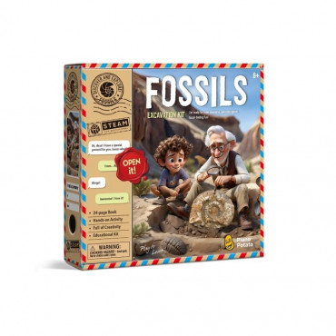 FOSSILS EXCAVATION KIT IN COLOUR