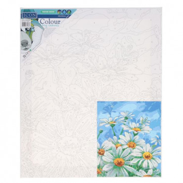 Paint By Numbers Canvas Daisy Meadow 30X25CM